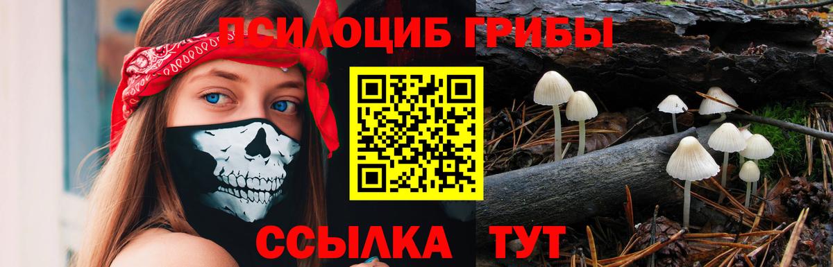 как найти   Галлюциногенные грибы мухоморы  Вход с VPN  Псилоцибиновые грибы прущие грибы  Ярцево 